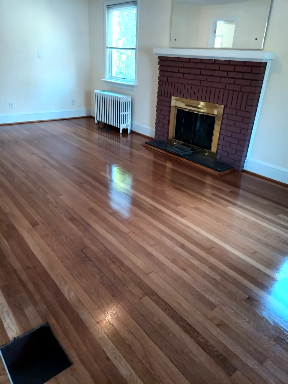 Freshly sanded and refinished hardwood floor